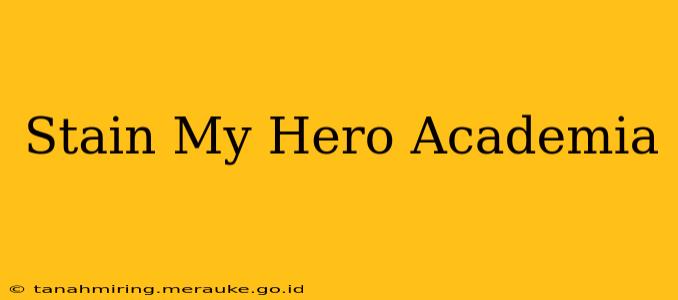 Stain My Hero Academia
