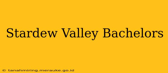 Stardew Valley Bachelors