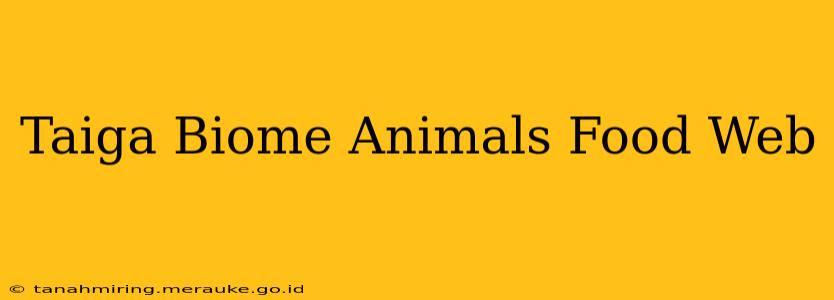 Taiga Biome Animals Food Web