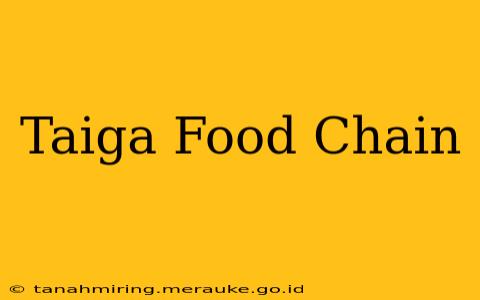 Taiga Food Chain