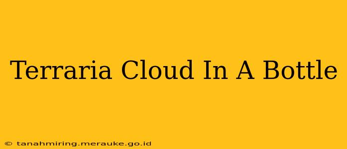 Terraria Cloud In A Bottle