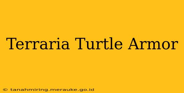 Terraria Turtle Armor