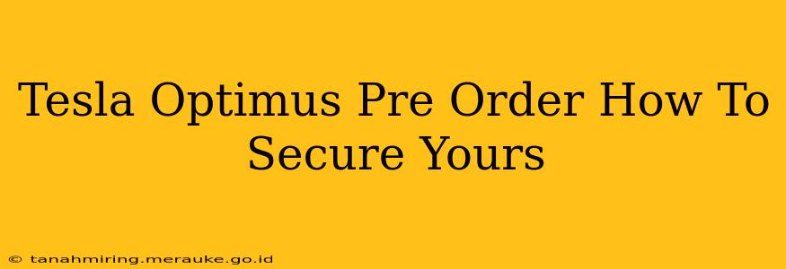 Tesla Optimus Pre Order How To Secure Yours
