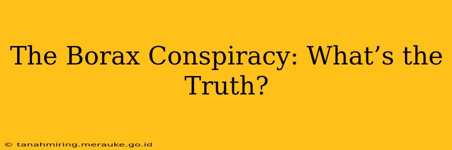 The Borax Conspiracy: What’s the Truth?