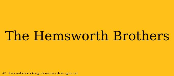 The Hemsworth Brothers
