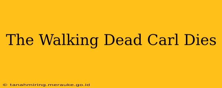 The Walking Dead Carl Dies