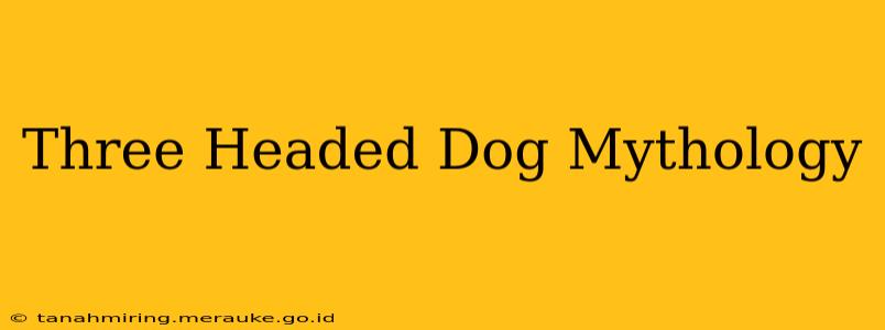 Three Headed Dog Mythology