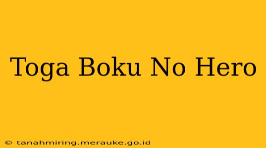 Toga Boku No Hero