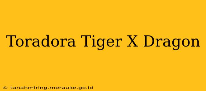 Toradora Tiger X Dragon