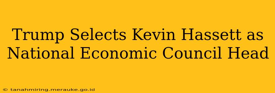 Trump Selects Kevin Hassett as National Economic Council Head