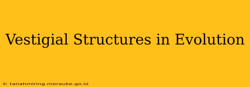 Vestigial Structures in Evolution