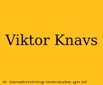 Viktor Knavs