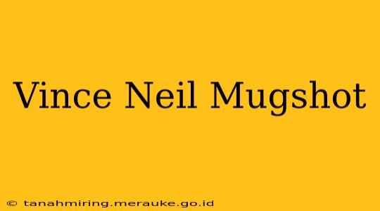 Vince Neil Mugshot