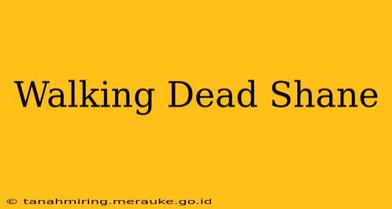 Walking Dead Shane