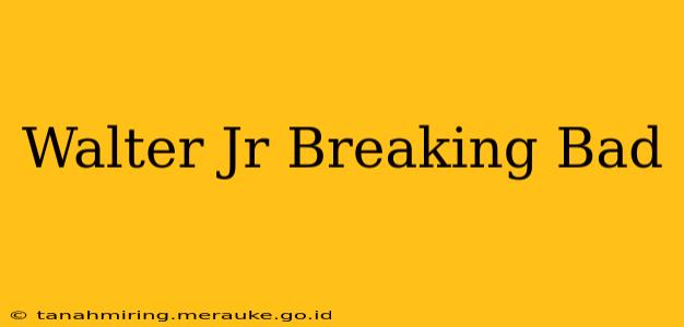 Walter Jr Breaking Bad