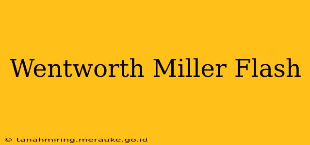 Wentworth Miller Flash