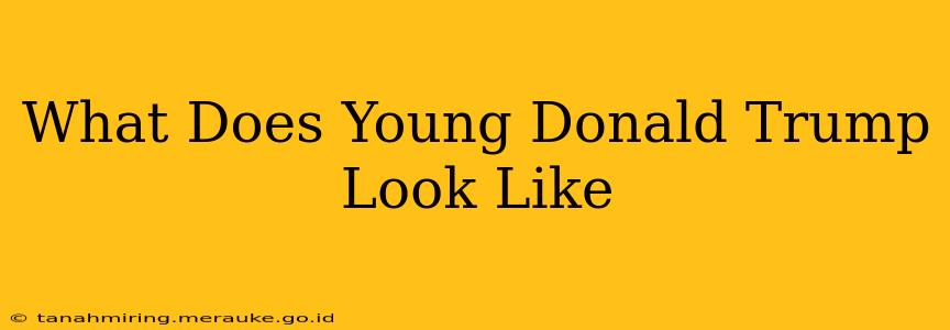 What Does Young Donald Trump Look Like