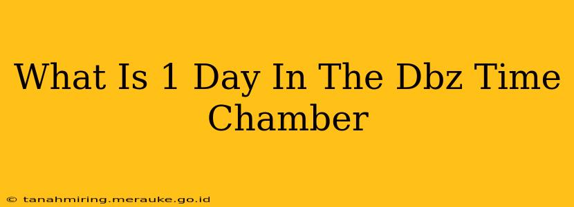 What Is 1 Day In The Dbz Time Chamber