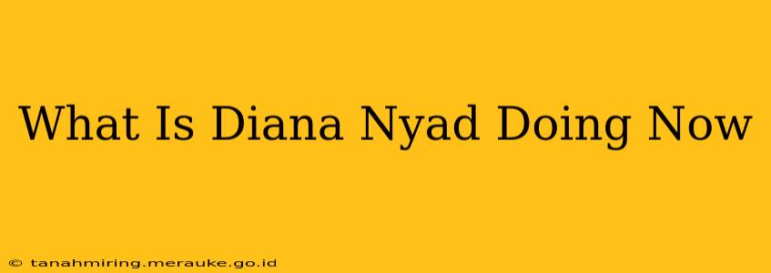 What Is Diana Nyad Doing Now