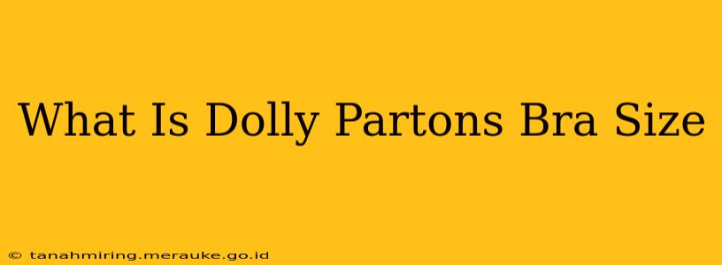 What Is Dolly Partons Bra Size