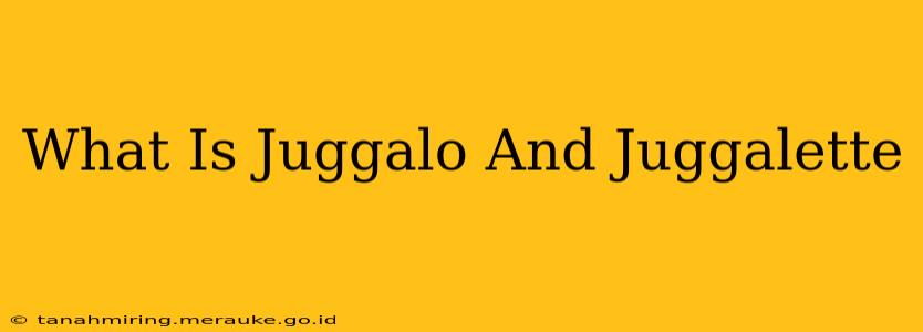 What Is Juggalo And Juggalette