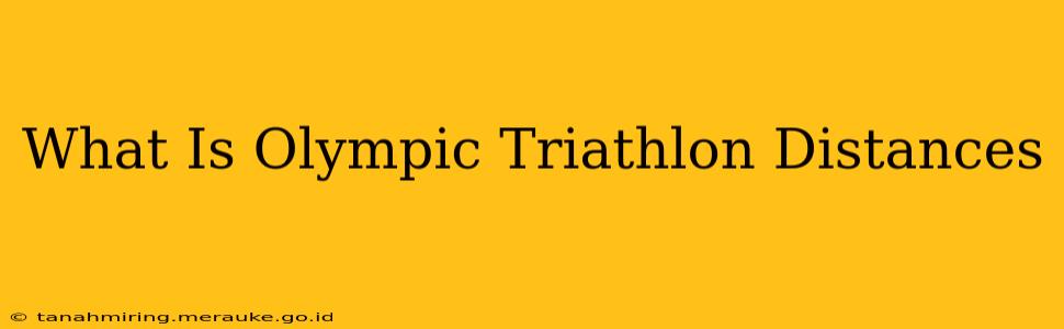What Is Olympic Triathlon Distances