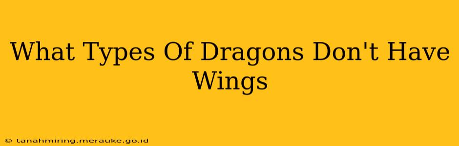 What Types Of Dragons Don't Have Wings