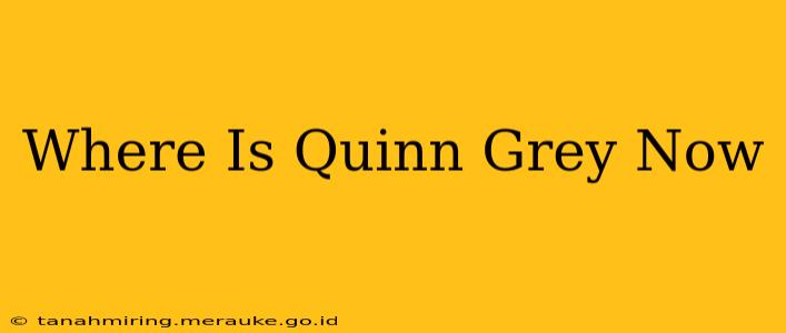 Where Is Quinn Grey Now