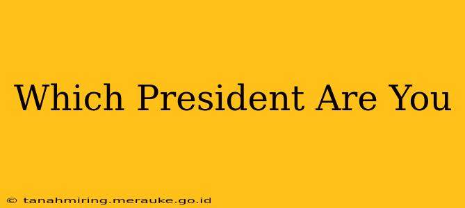 Which President Are You