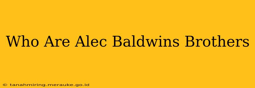 Who Are Alec Baldwins Brothers