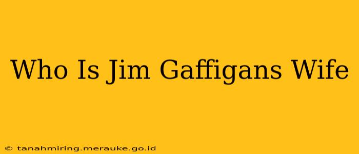 Who Is Jim Gaffigans Wife