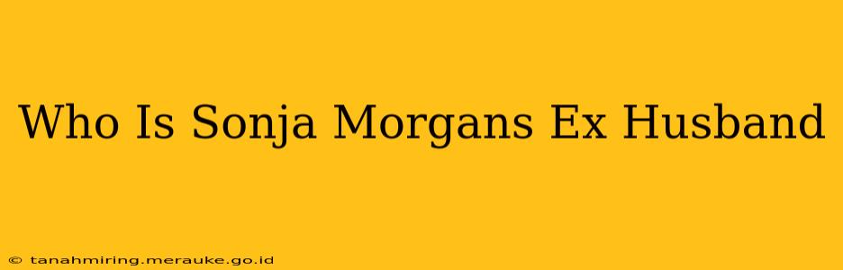 Who Is Sonja Morgans Ex Husband