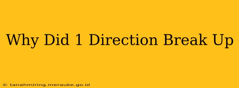 Why Did 1 Direction Break Up