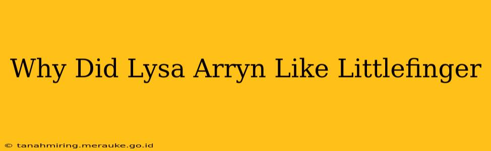 Why Did Lysa Arryn Like Littlefinger