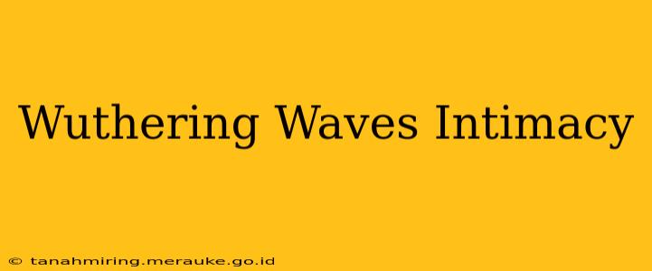 Wuthering Waves Intimacy