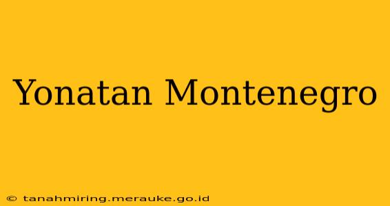 Yonatan Montenegro